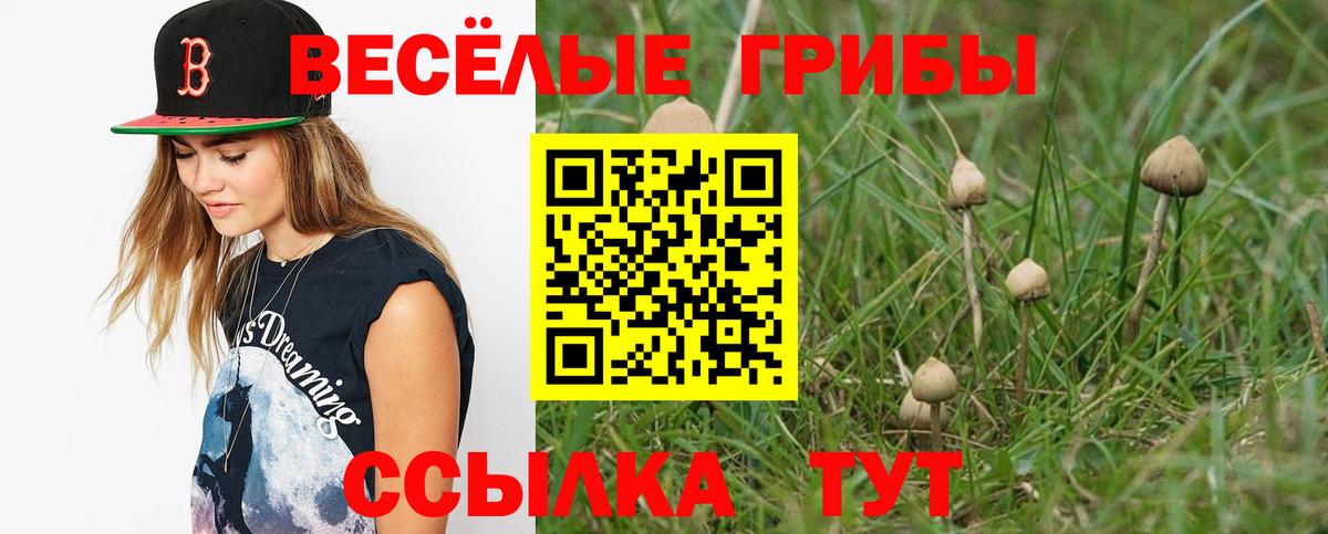 Галлюциногенные грибы мицелий  Вход с VPN  Черемхово 